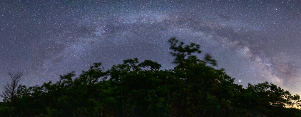 The Milky Way as a low arch across a wide frame, trees along the horizon