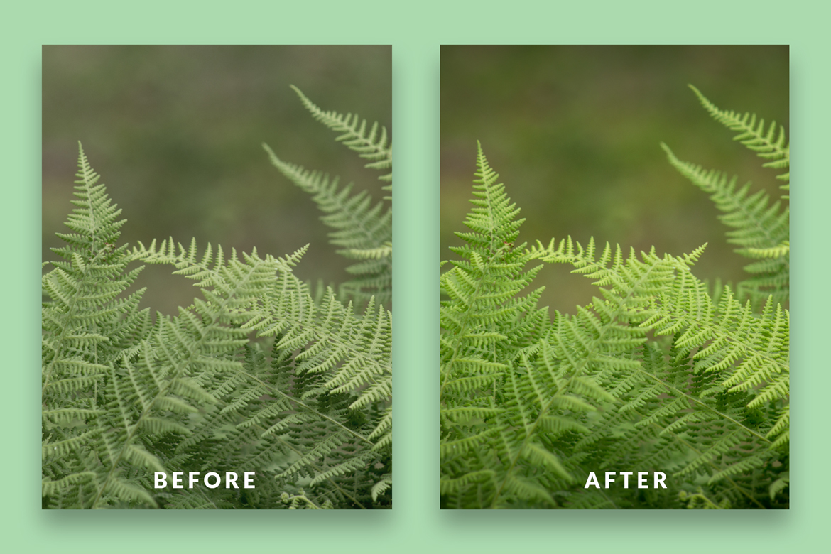 Before and after — waterfall